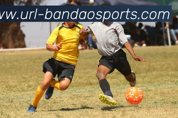 半岛体育APP 高清赛事图